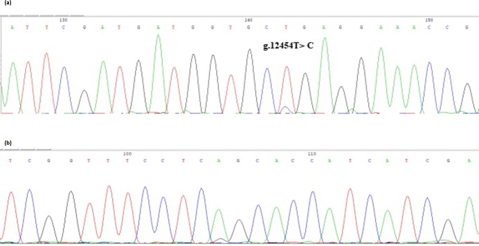 Figure 1