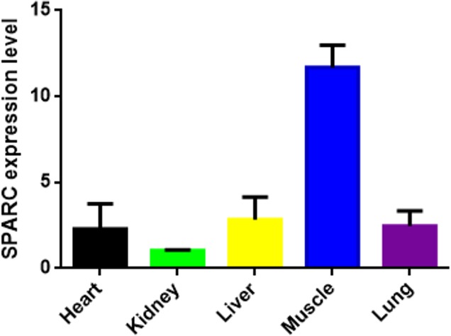 Figure 3