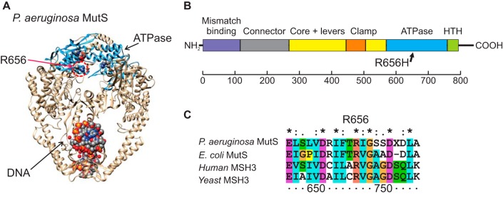 FIG 3