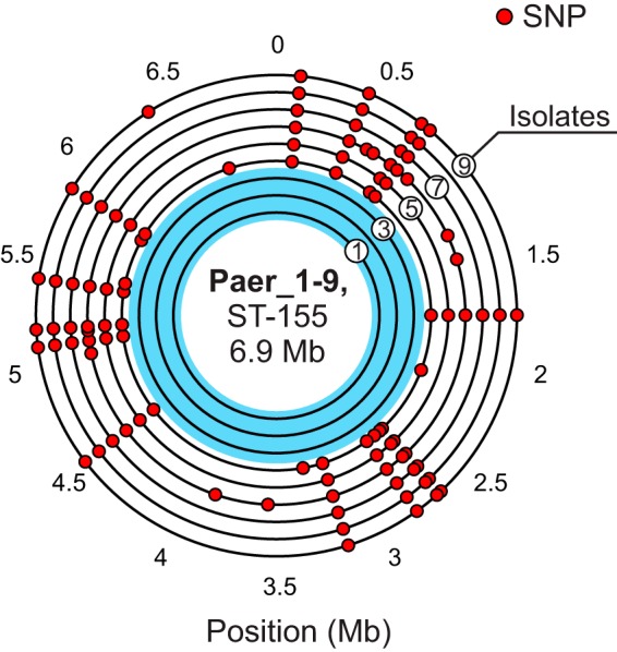 FIG 2