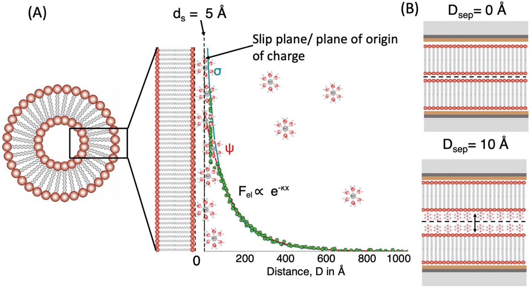 Figure 2: