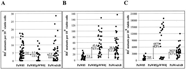 FIG. 1.