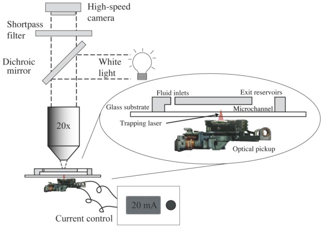 Fig. 3