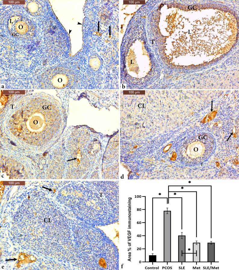 Fig. 8.