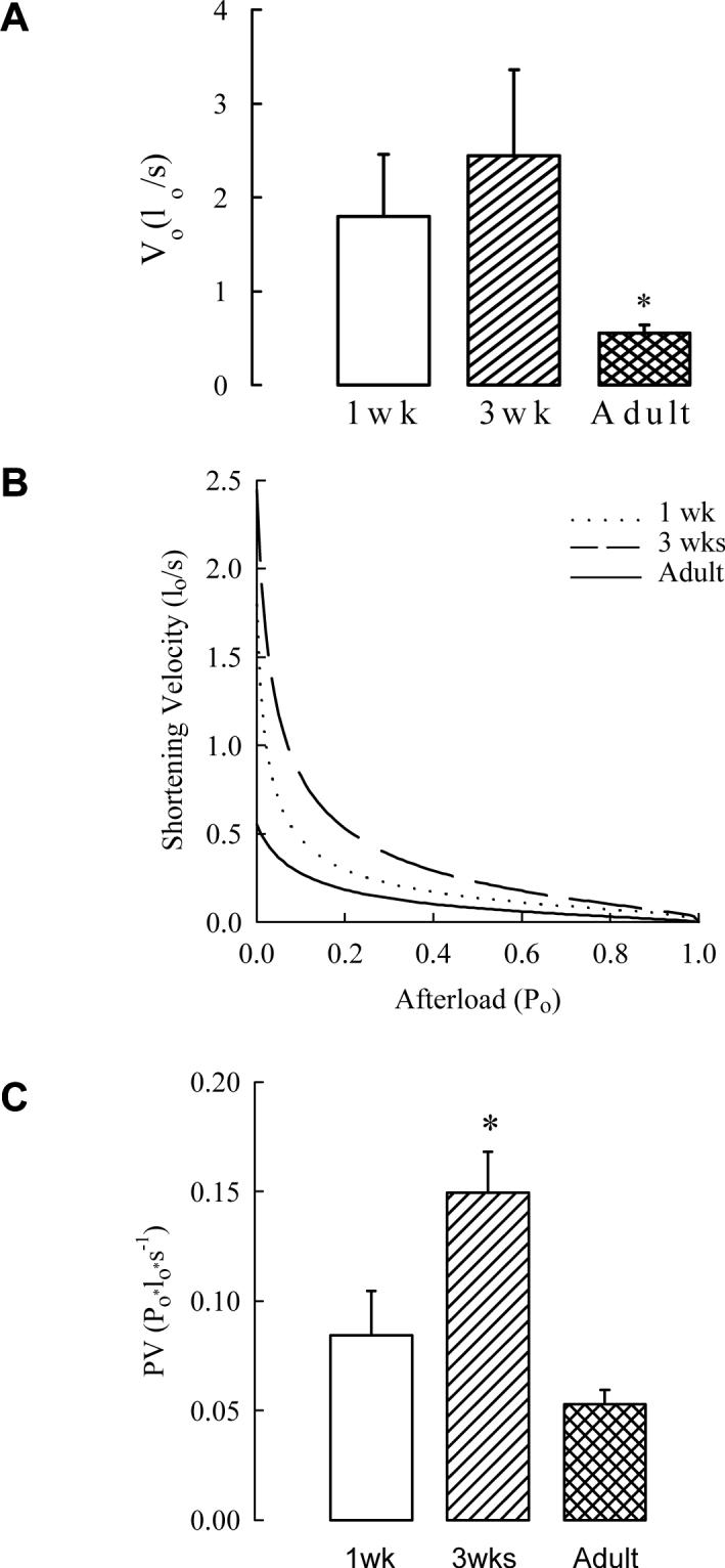 Fig.1