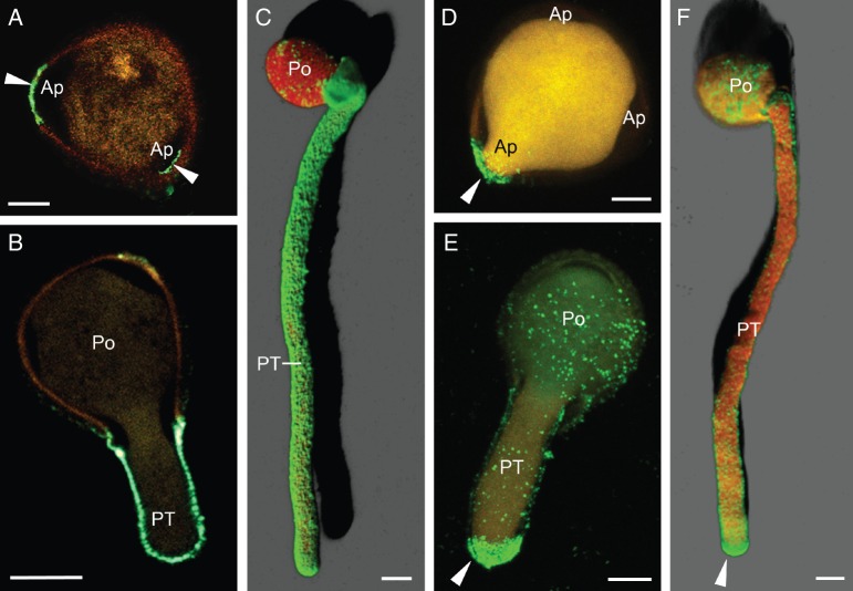 Fig. 3.