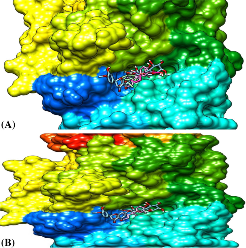 Fig. 6