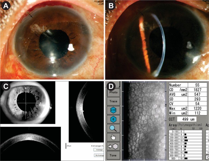 Figure 6