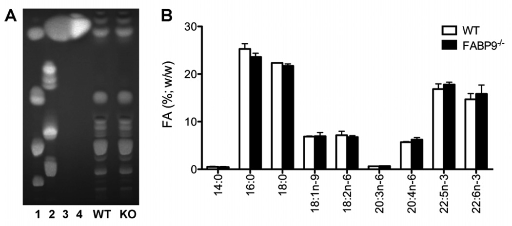 Fig. 10