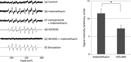 Fig. 4