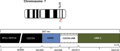 Fig. 11.