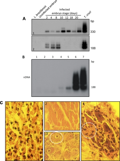 Fig. 13.