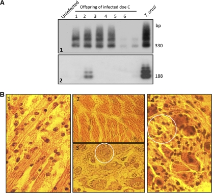 Fig. 10.