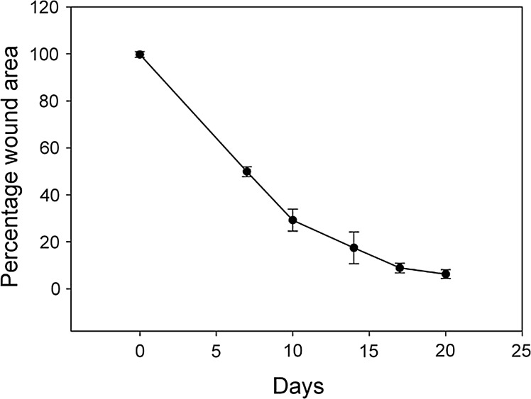 Figure 2.