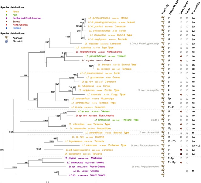 Fig. 7