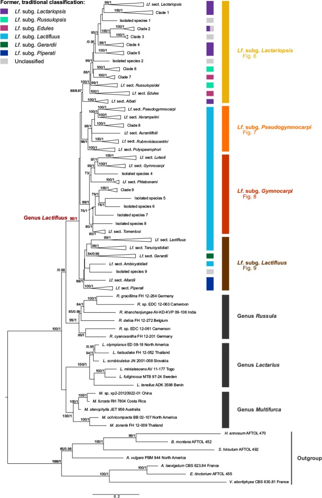 Fig. 3