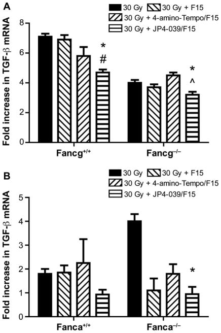 FIG. 6