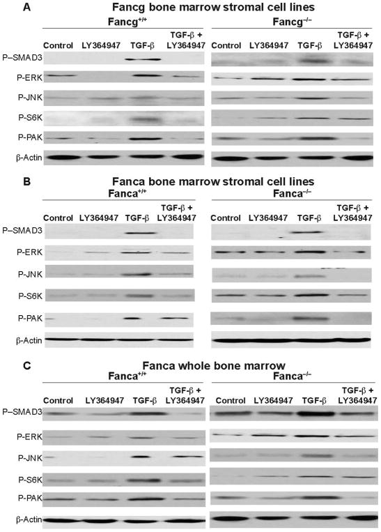 FIG. 10