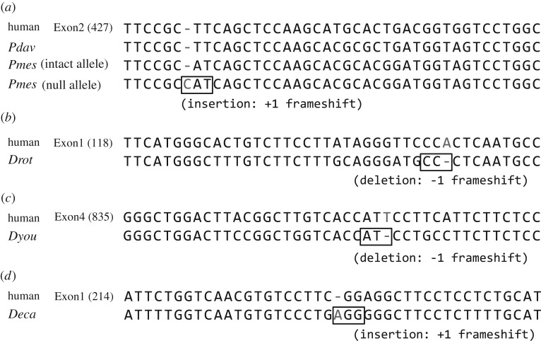 Figure 2.