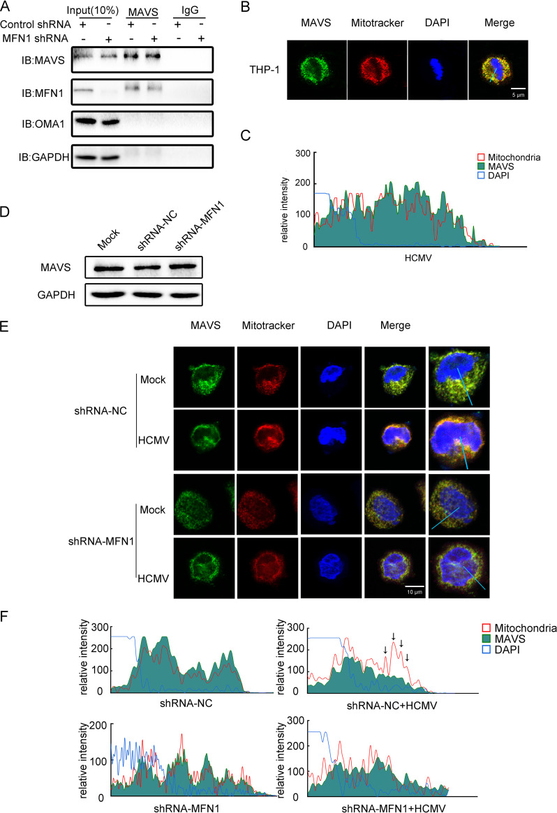 FIG 3