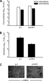 FIG. 1.