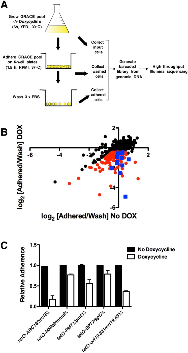 Fig 1