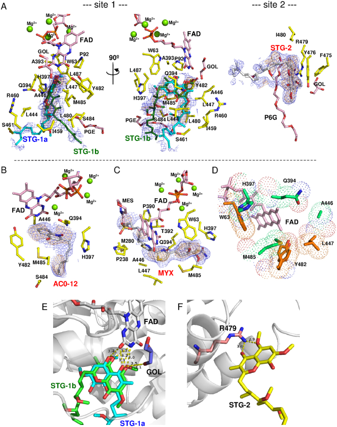 Figure 4