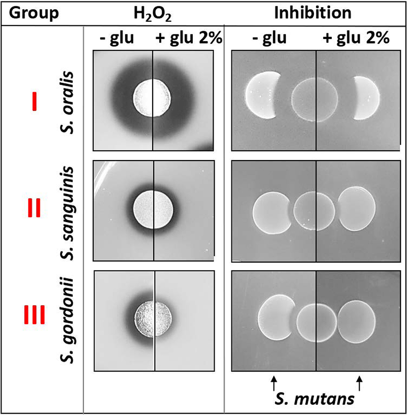 Fig. 5: