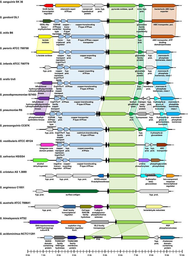 Fig. 4: