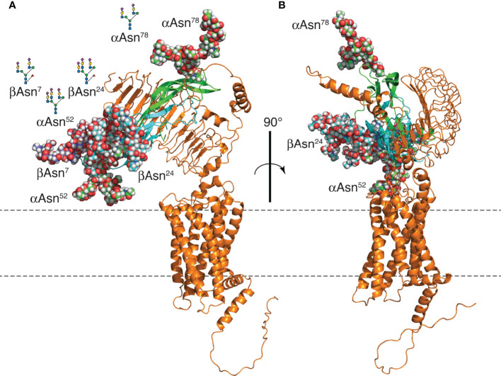 Figure 11