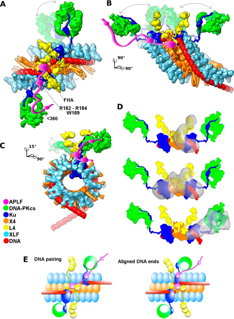 FIGURE 10.