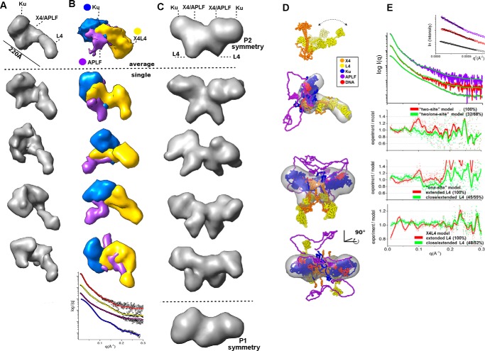 FIGURE 9.