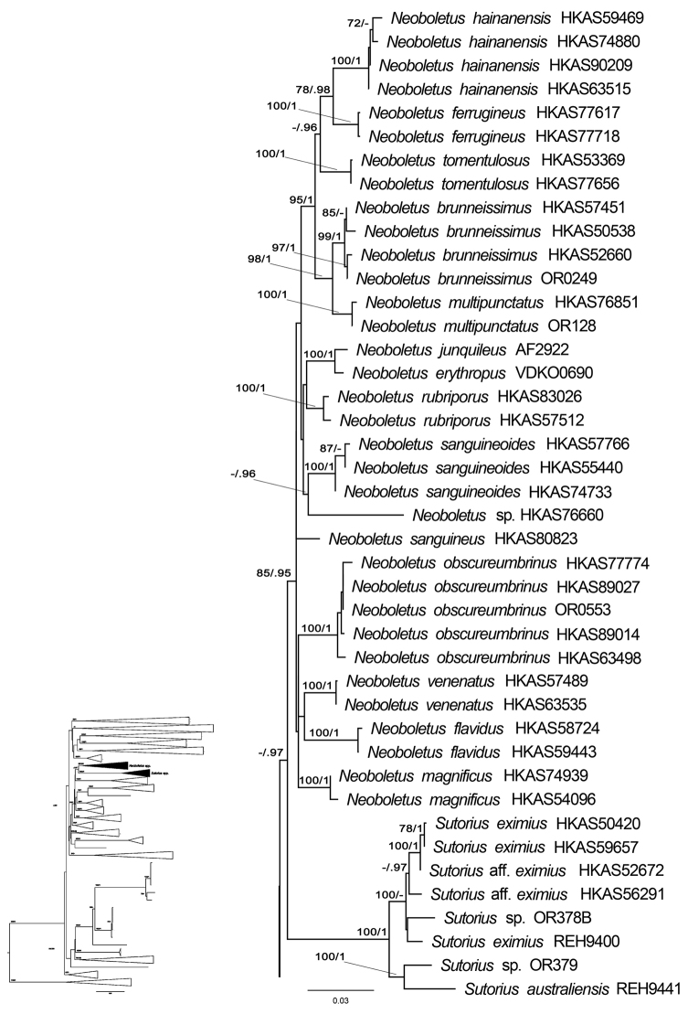 Figure 7.