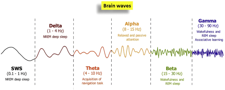 Figure 1