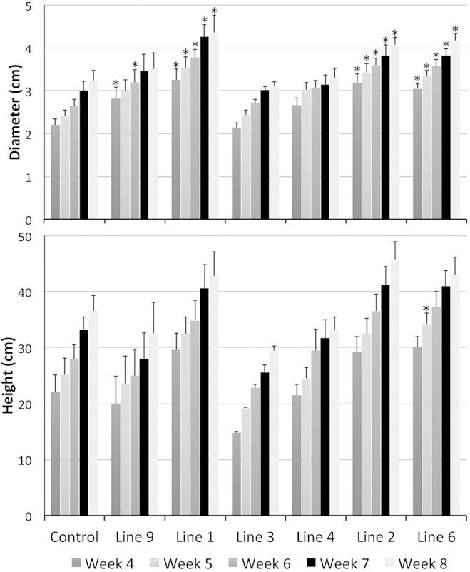 Figure 4