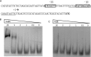 FIGURE 10.