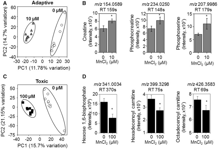 Figure 6.