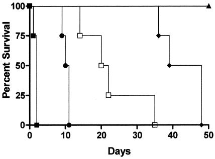 FIG. 8.