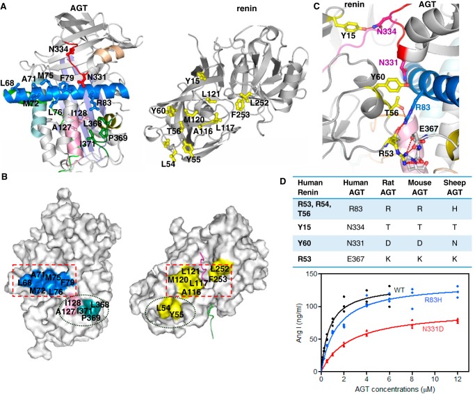 Figure 4.