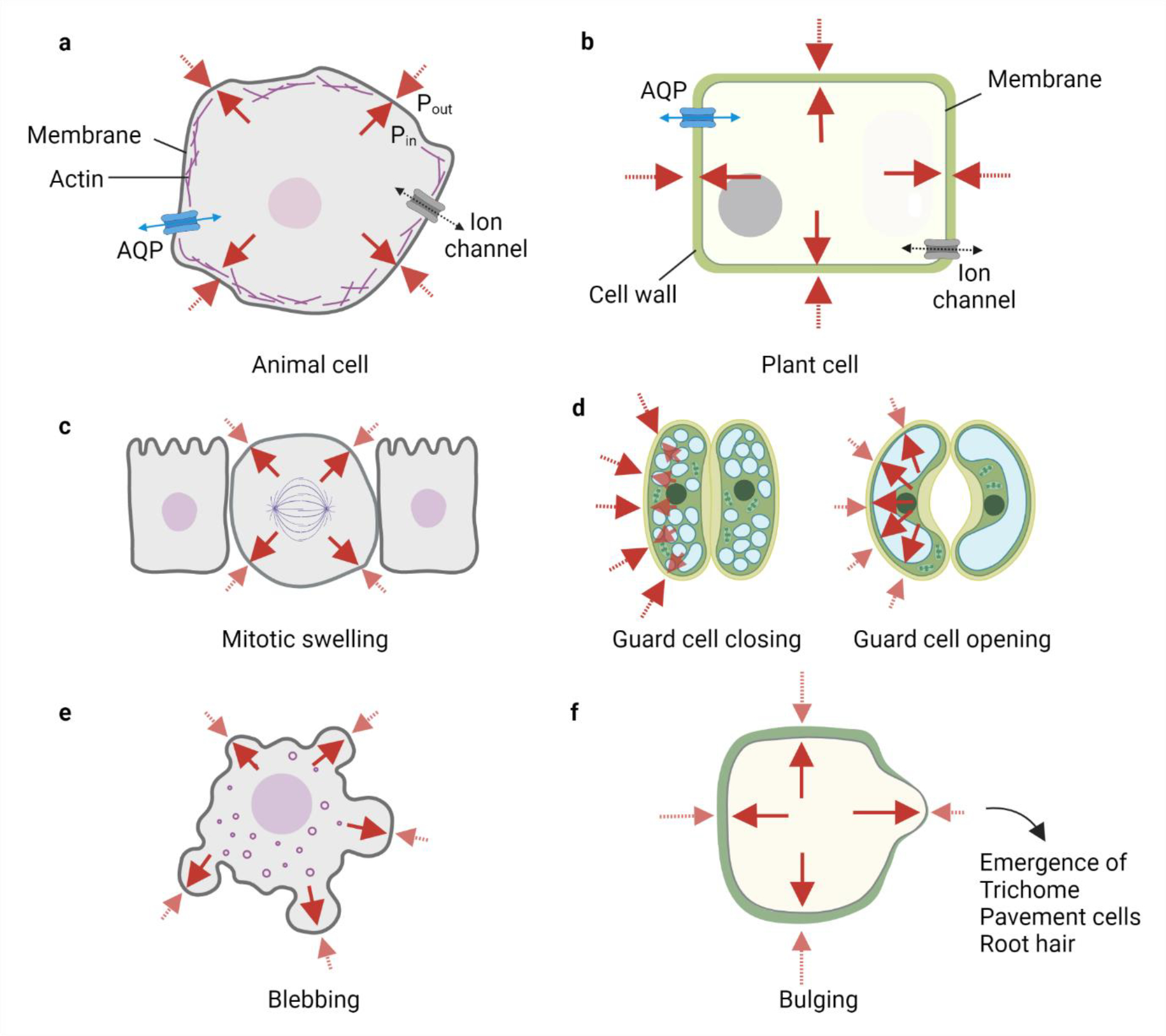 Fig. 3: