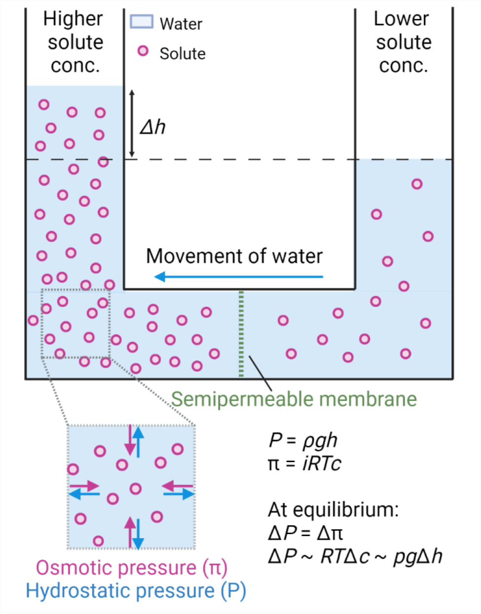 Fig. 1: