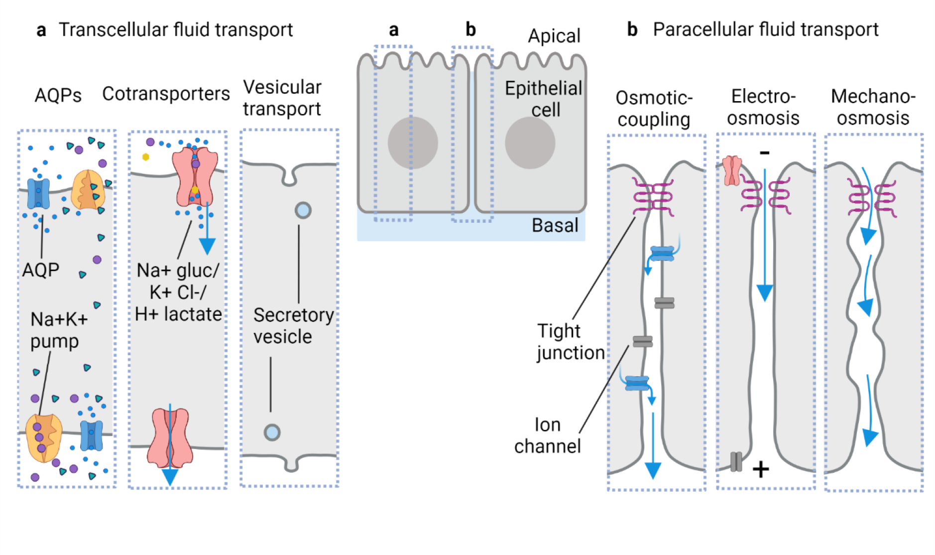 Fig. 2: