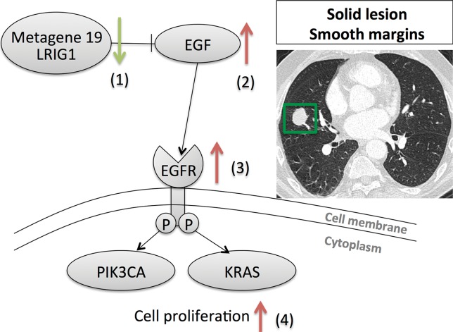 Figure 3a: