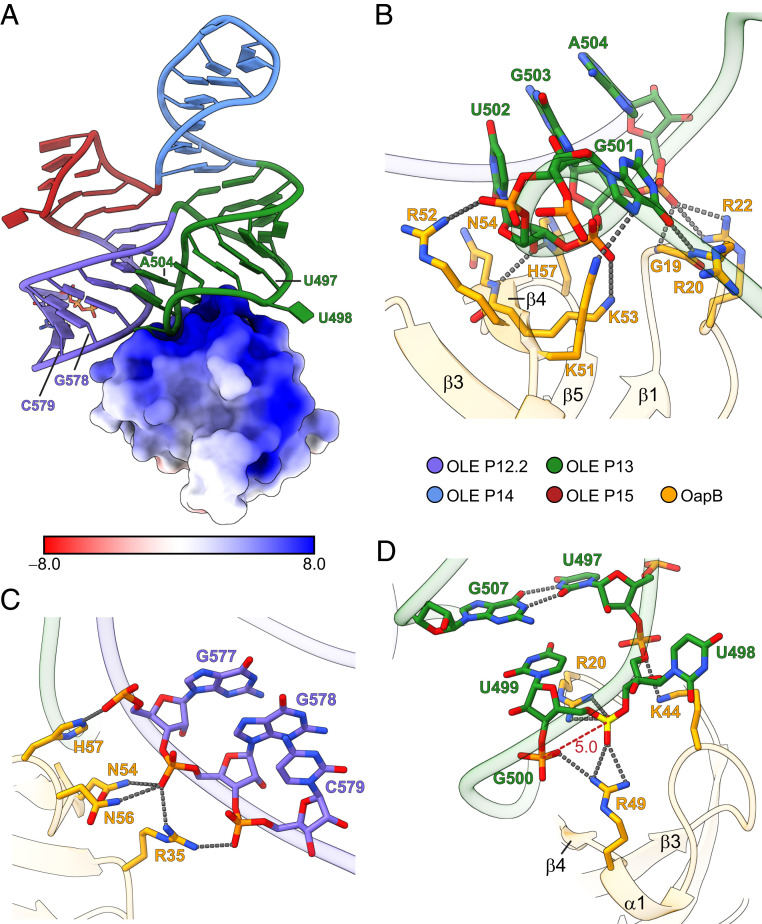 Fig. 3.