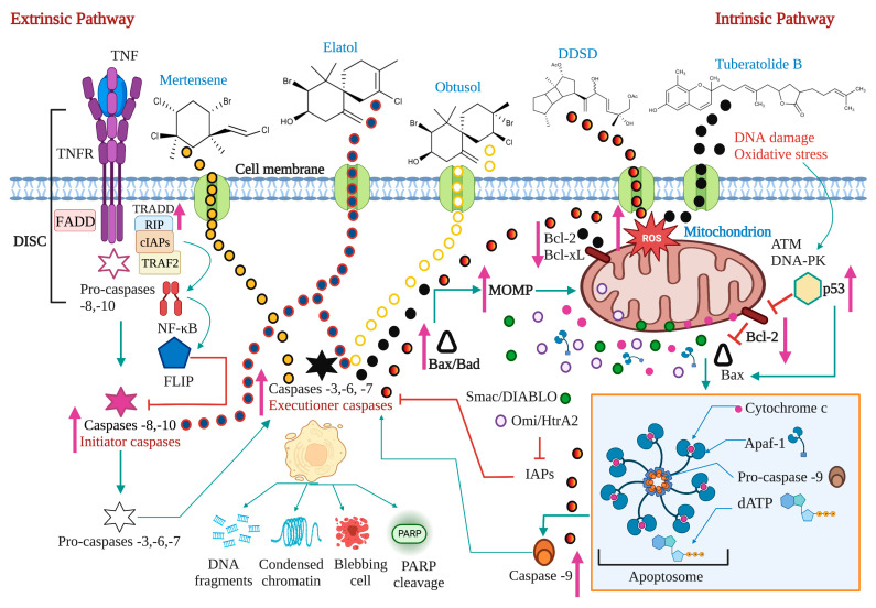 Figure 14