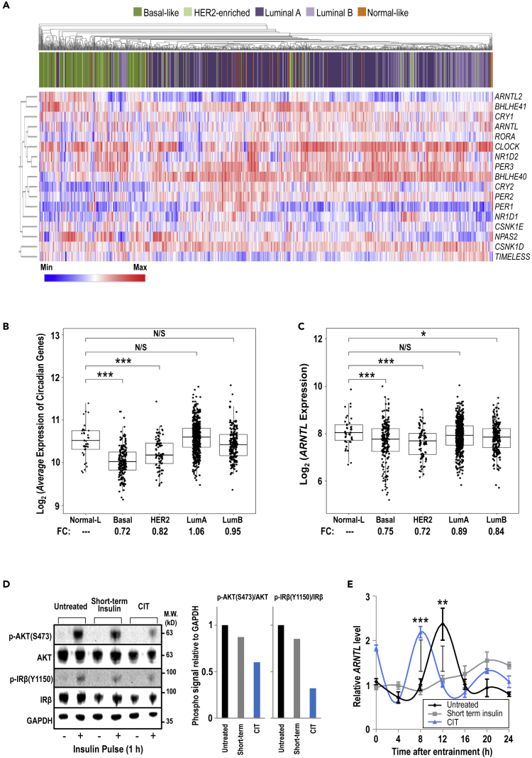 Figure 1