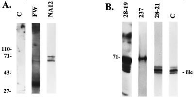 FIG. 6