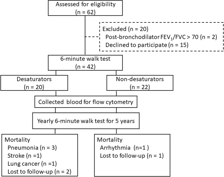 Figure 1