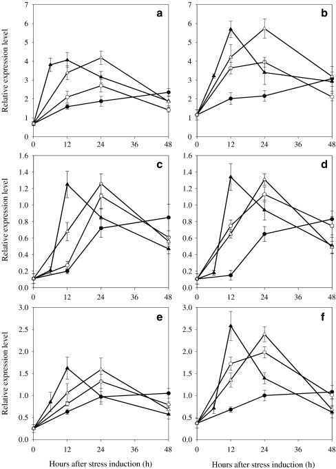 Fig. 4