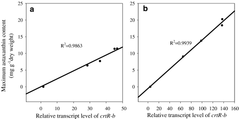 Fig. 6